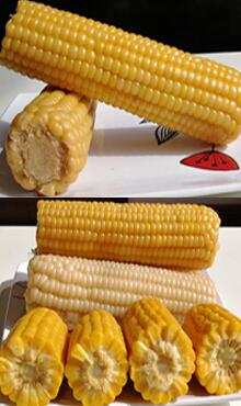玉米棒圖片細節